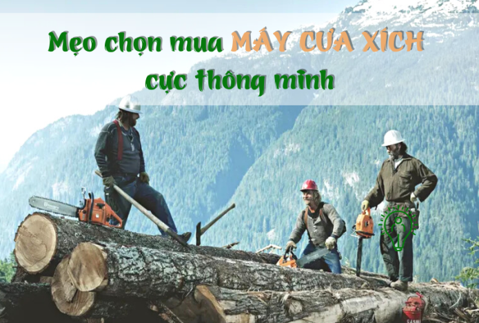 Mẹo Chọn Mua Máy Cưa Xích Cực Thông Minh
