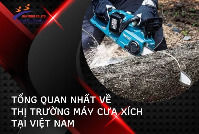 Tổng Quan Nhất Về Thị Trường Máy Cưa Xích Tại Việt Nam