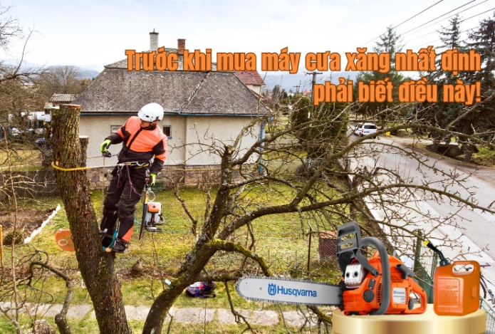 Trước khi mua máy cưa xăng nhất định phải biết điều này!