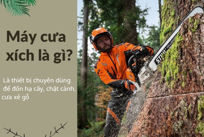 Tất Tần Tật Thông Tin Về Máy Cưa Xích - Có Thể Bạn Chưa Biết