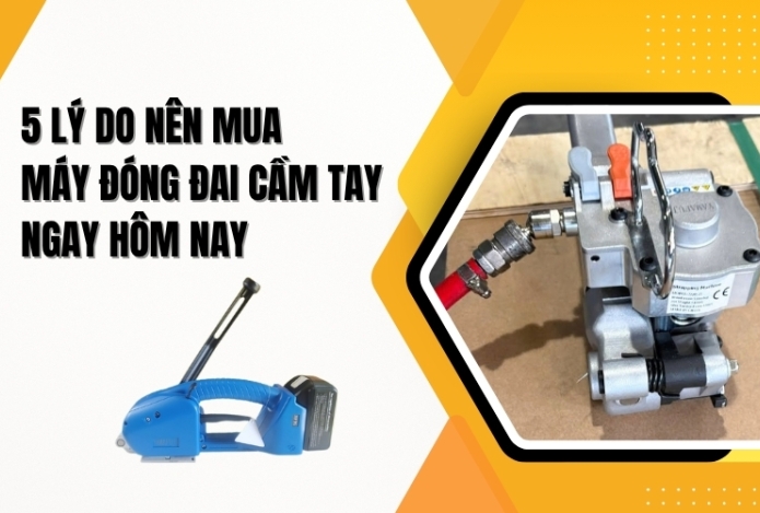 5 Lý Do Nên Mua Máy Đóng Đai Cầm Tay Ngay Hôm Nay