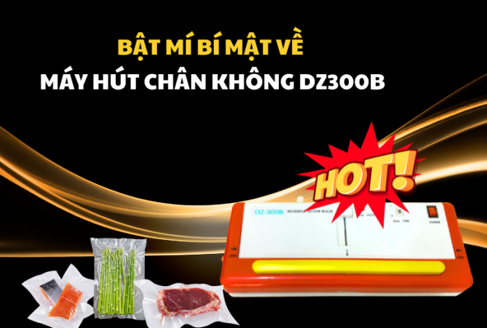 Bật Mí Bí Mật Về Máy Hút Chân Không DZ300B