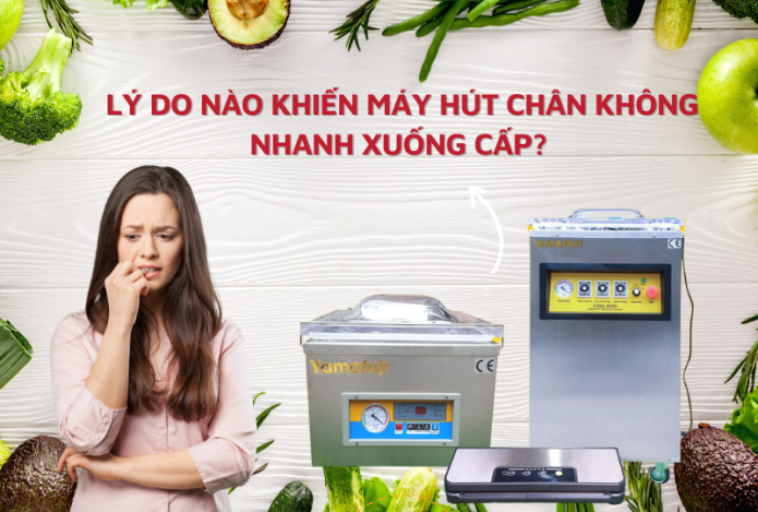 Lý Do Nào Khiến Máy Hút Chân Không Nhanh Xuống Cấp