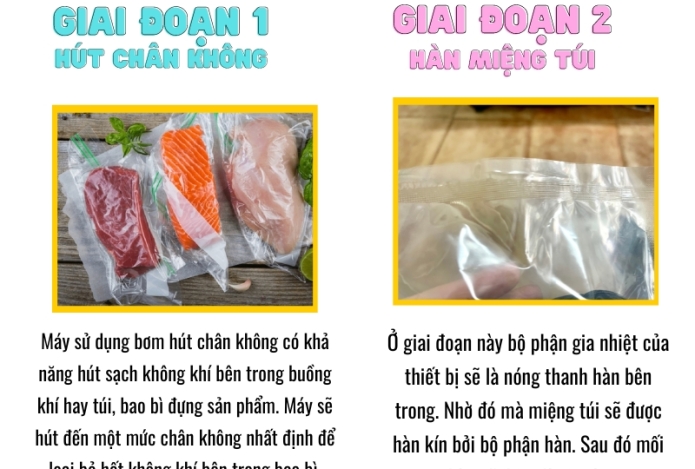 Máy hút chân không hoạt động trên nguyên lý nào? Các lưu ý khi sử dụng