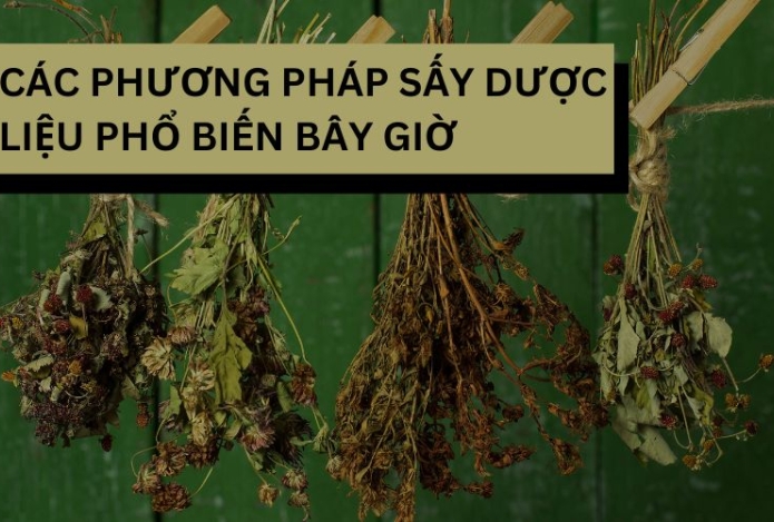 Các phương pháp sấy dược liệu phổ biến bây giờ