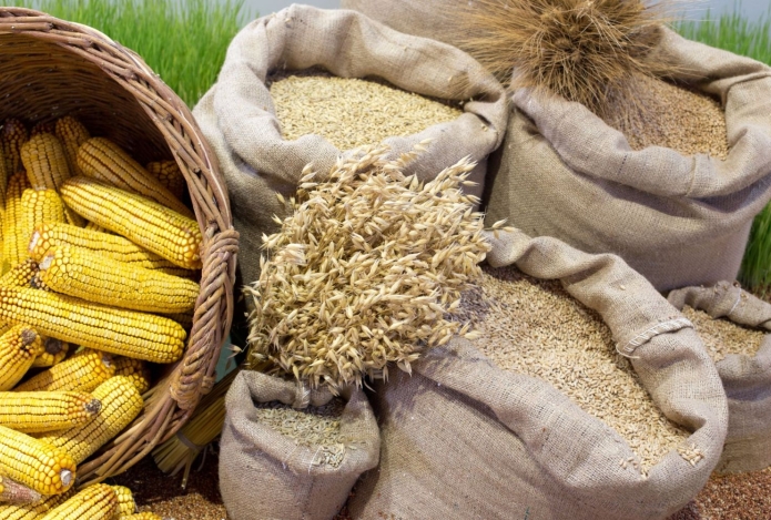 Các phương pháp sấy nông sản phổ biến hiện nay