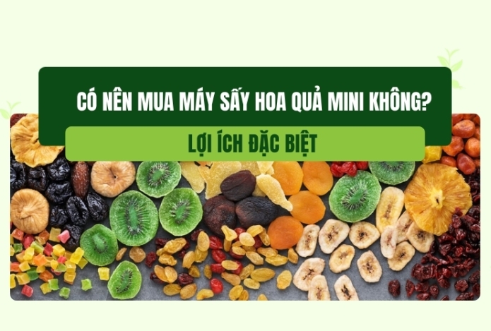 Có nên mua máy sấy hoa quả mini không? Lợi ích đặc biệt
