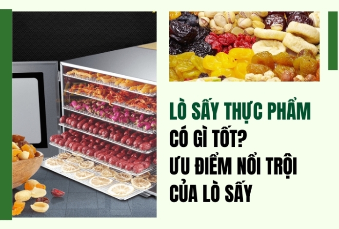 Lò sấy thực phẩm có gì tốt? Ưu điểm nổi trội của lò sấy