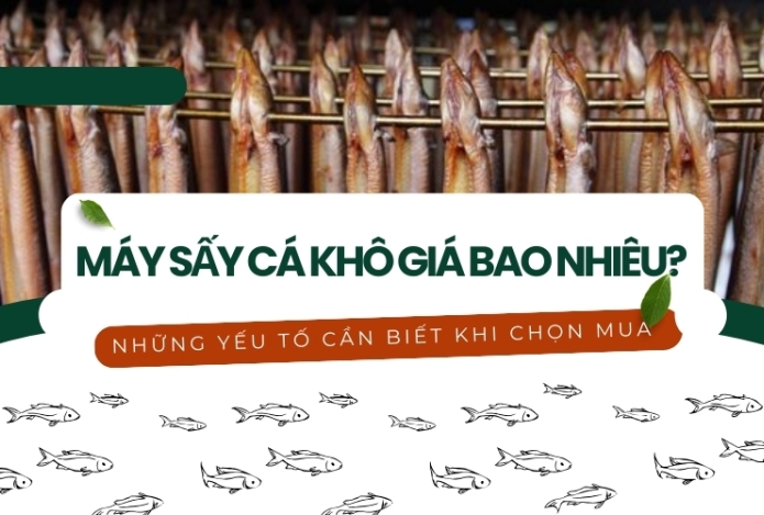 Máy sấy cá khô giá bao nhiêu? Những yếu tố cần biết khi chọn mua