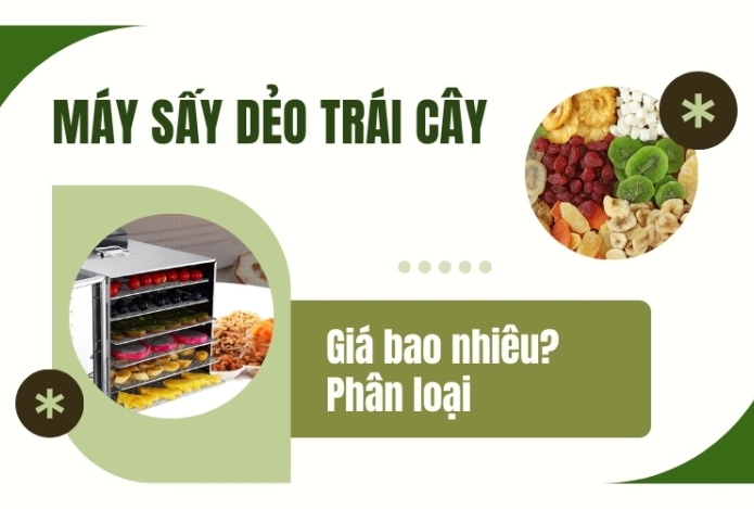 Máy sấy dẻo trái cây giá bao nhiêu? Phân loại