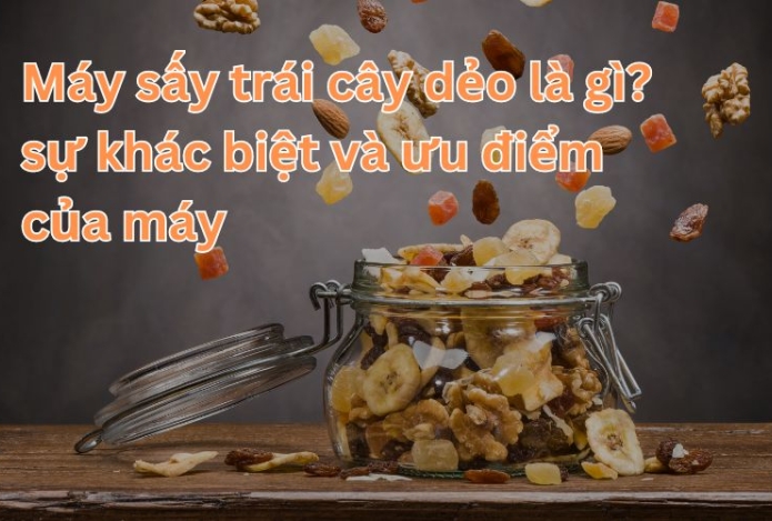 Máy sấy trái cây dẻo là gì? sự khác biệt và ưu điểm của máy