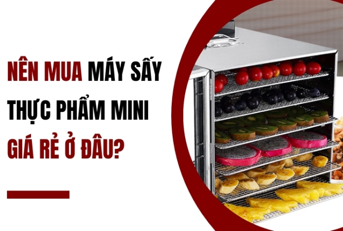 Nên mua máy sấy thực phẩm mini giá rẻ ở đâu?