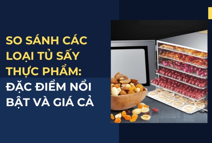 So sánh các loại tủ sấy thực phẩm: Đặc điểm nổi bật và giá cả