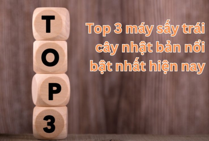 Top 3 máy sấy trái cây nhật bản nổi bật nhất hiện nay