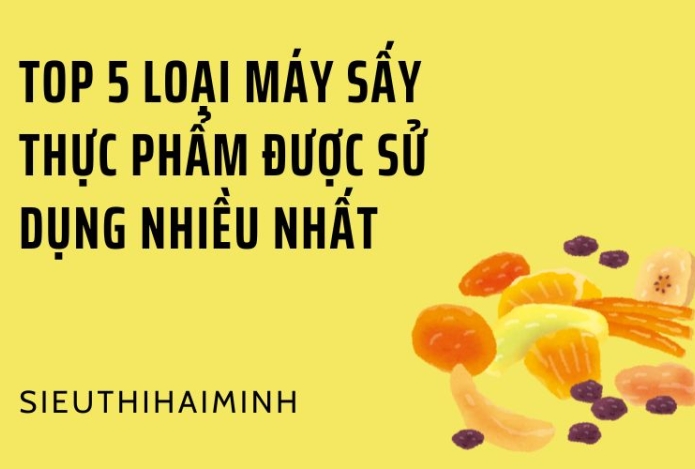 Top 5 loại máy sấy thực phẩm được sử dụng nhiều nhất 2024