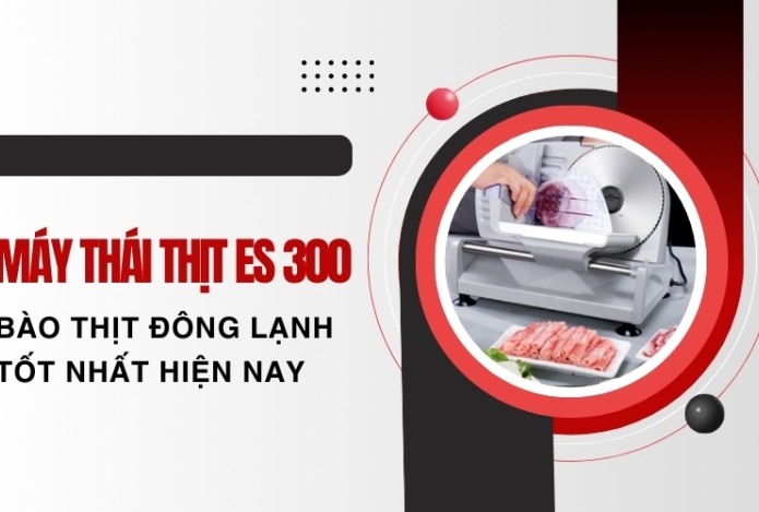 Máy thái thịt ES 300 bào thịt đông lạnh tốt nhất hiện nay