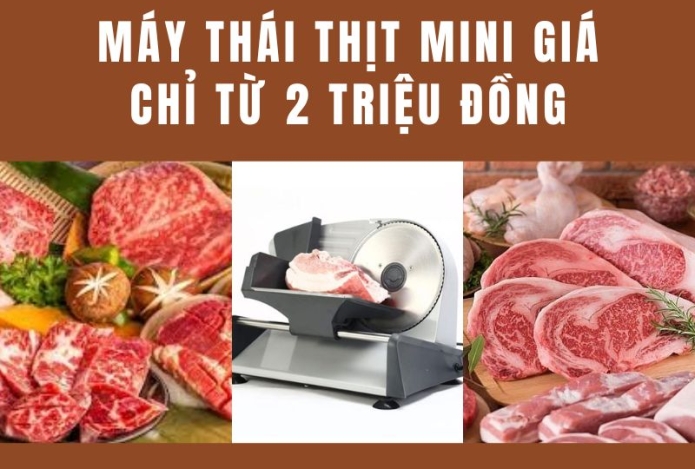 Máy thái thịt mini giá chỉ từ 2 triệu đồng