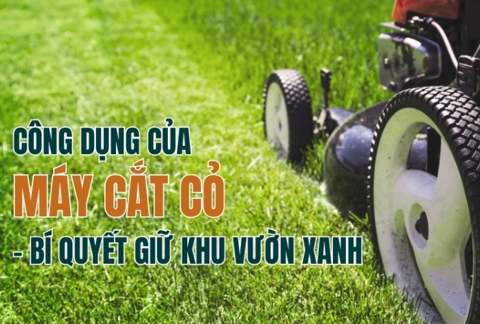 Công Dụng Của Máy Cắt Cỏ – Bí Quyết Giữ Khu Vườn Xanh Mướt