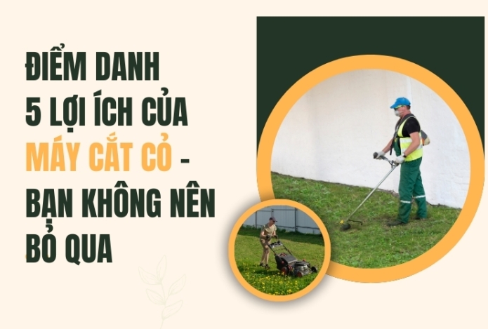 Điểm Danh 5 Lợi Ích Của Máy Cắt Cỏ - Bạn Không Nên Bỏ Qua