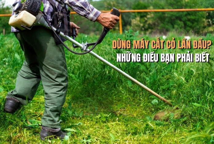 Dùng Máy Cắt Cỏ Lần Đầu? Những Điều Bạn Phải Biết