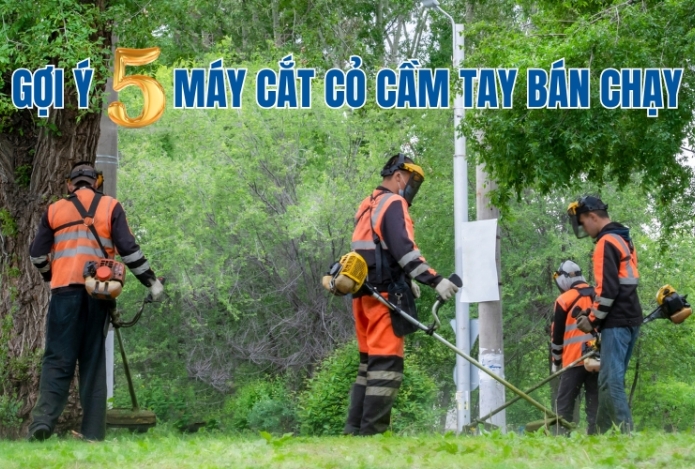 Gợi ý 5 máy cắt cỏ cầm tay bán chạy