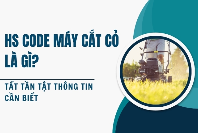 HS Code Máy Cắt Cỏ Là Gì? Tất Tần Tật Thông Tin Cần Biết