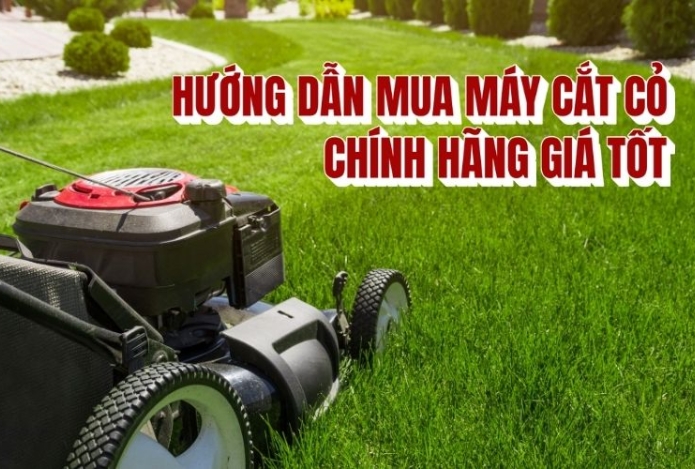 Hướng dẫn mua máy cắt cỏ chính hãng giá tốt