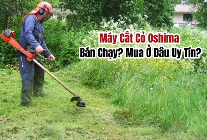 Máy Cắt Cỏ Oshima Bán Chạy? Mua Ở Đâu Uy Tín?