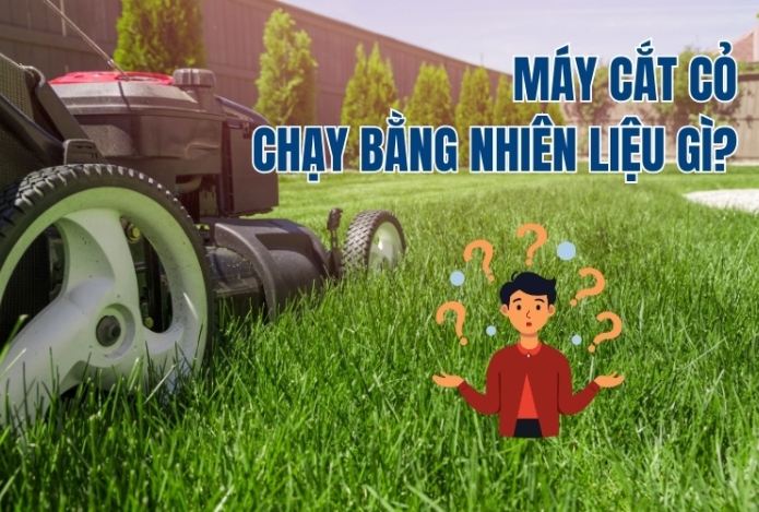 Máy cắt cỏ chạy bằng nhiên liệu gì?