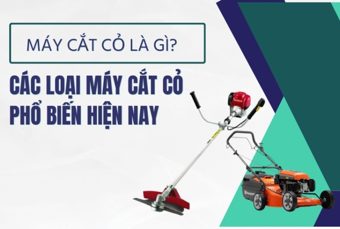 Máy cắt cỏ là gì? Các loại máy cắt cỏ phổ biến hiện nay