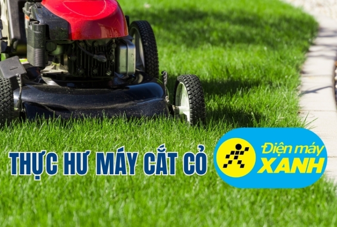 Thực hư máy cắt cỏ điện máy xanh