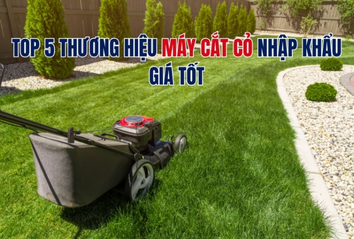 Top 5 thương hiệu máy cắt cỏ nhập khẩu giá tốt