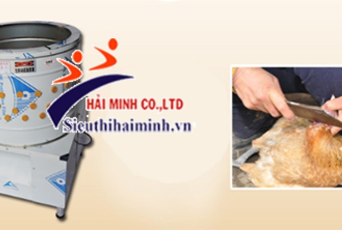 Mẹo dùng máy vặt lông vịt hiệu quả, bạn đã biết chưa?