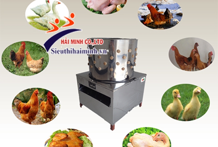 Mẹo vàng giúp bạn chọn mua máy vặt lông vịt đúng nhu cầu!