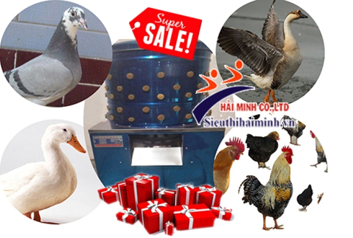 Mẹo dùng máy vặt lông vịt làm sạch lông gia cầm nhanh chóng, vẫn giữ nguyên con