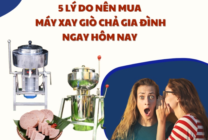 5 Lý Do Nên Mua Máy Xay Giò Chả Gia Đình Ngay Hôm Nay