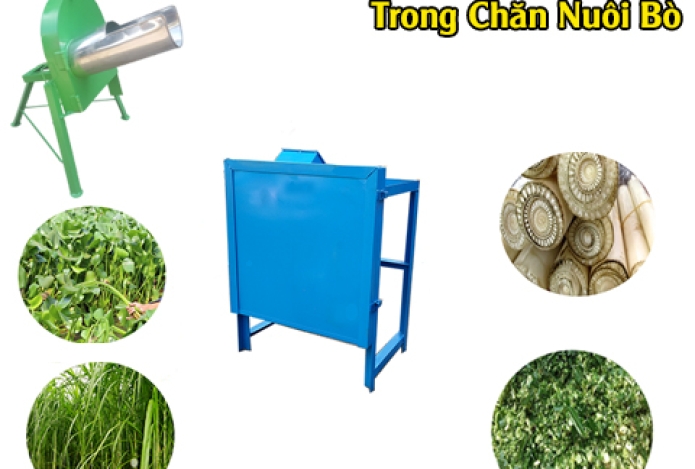 Máy Băm Cỏ Thiết Bị Chủ Lực Trong Chăn Nuôi Bò