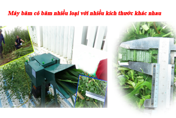 Cách lựa chọn máy băm cỏ phù hợp