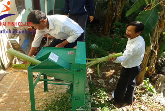Lợi ích mà máy băm cỏ mang đến cho ngành chăn nuôi