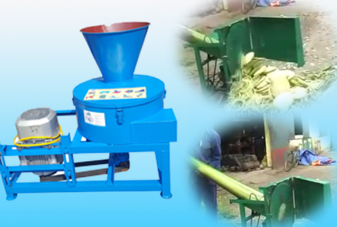 Lợi ích mà máy thái chuối mang lại cho ngành chăn nuôi