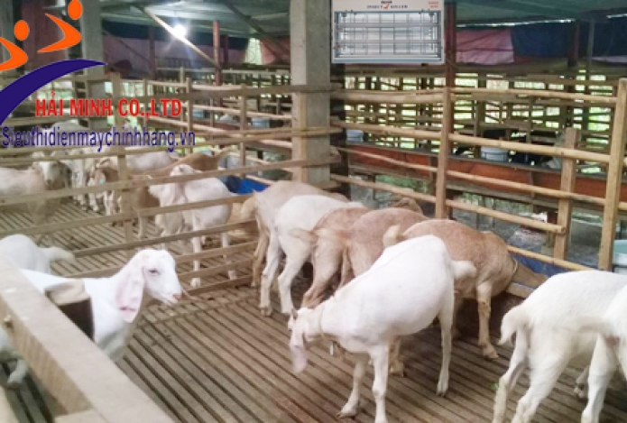 Đèn diệt côn trùng dành cho trang trại chăn nuôi