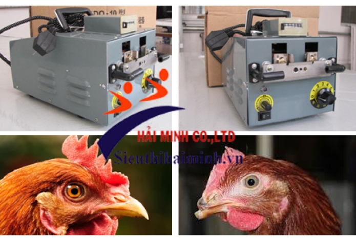 Máy cắt mỏ gà có thể cắt được khoảng 2000 con trên giờ