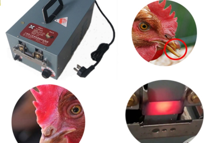 Có Nên Mua Máy Cắt Mỏ Gà 9Dq-4 Hay Không?