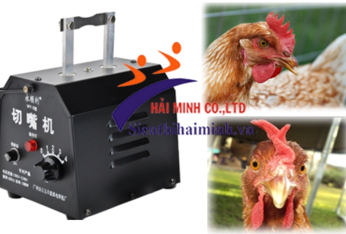 Máy cắt mỏ gà là vũ khí mạnh nhất trong chăn nuôi gia cầm