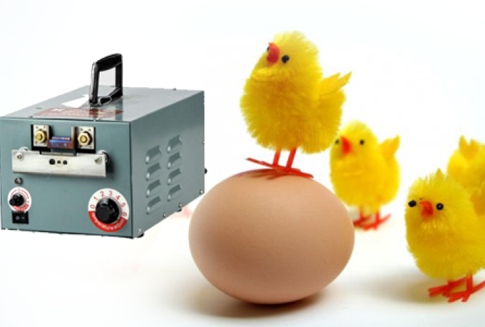 Địa chỉ cung cấp máy cắt mỏ gà uy tín Hồ Chí Minh