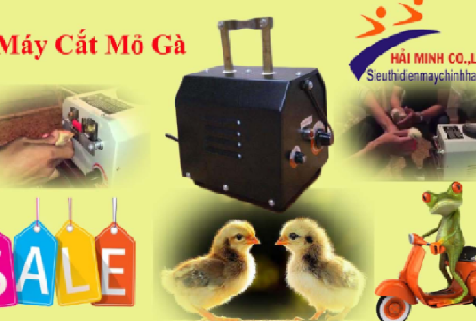 Cách điều trị tình trạng gà mổ nhau là dùng máy cắt mỏ gà