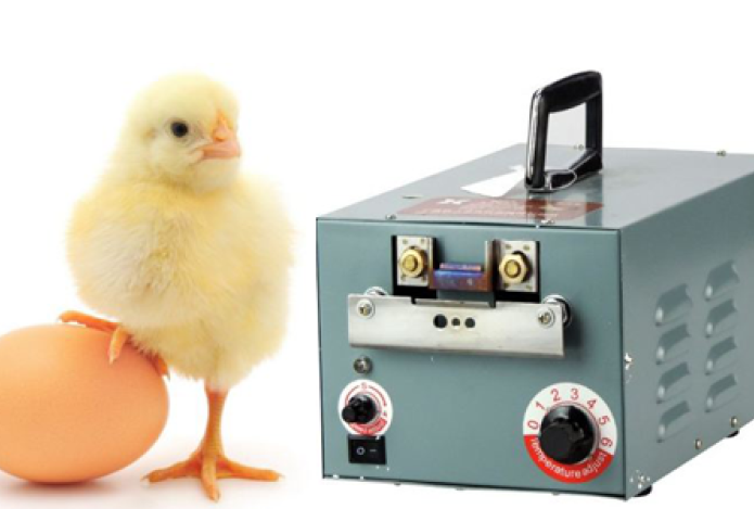 Hướng dẫn bảo quản máy cắt mỏ gà đúng cách