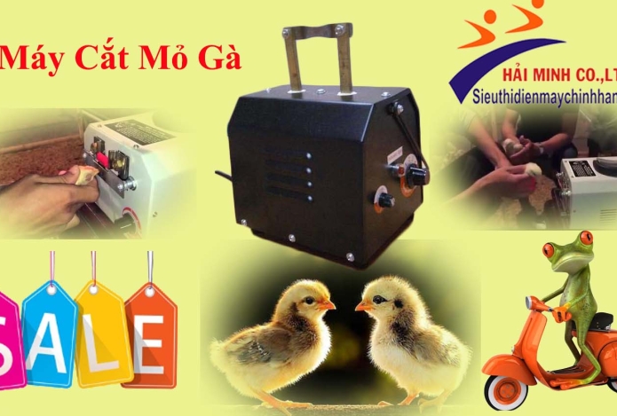 Cắt mỏ gà bằng máy cắt mỏ gà bán tự động