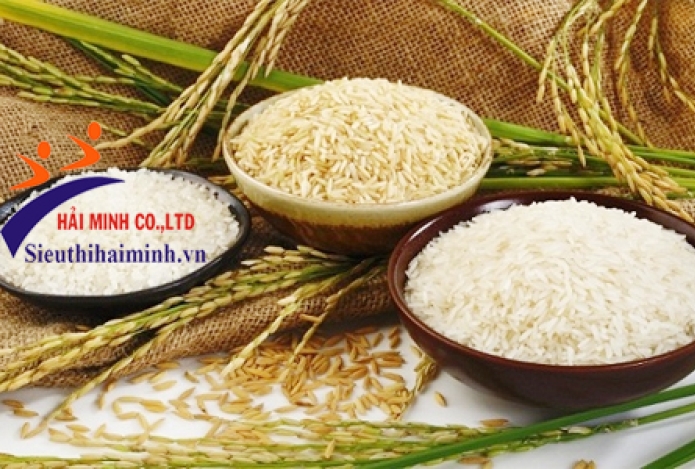 Cơ chế hoạt động của máy đo độ ẩm gạo như thế nào?