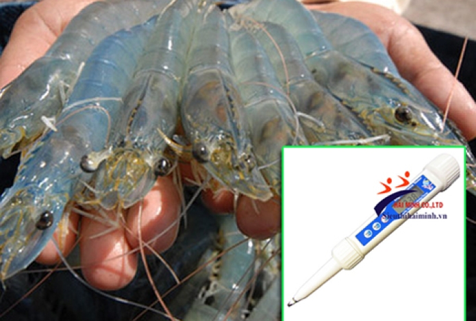 Máy đo độ mặn cầm tay nào dùng để phục vụ ngành nuôi tôm?